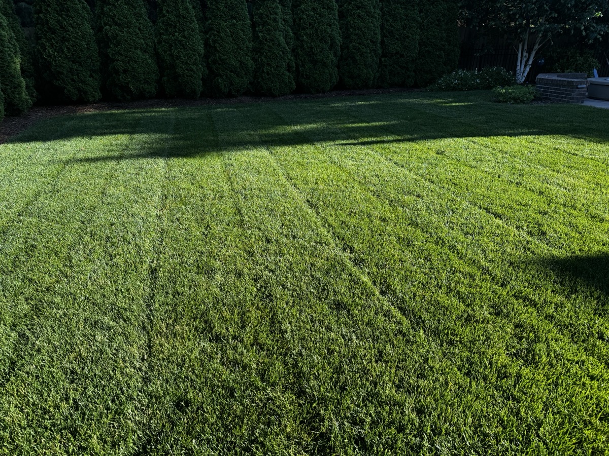 Professional lawn striping — the kind of work you'll do