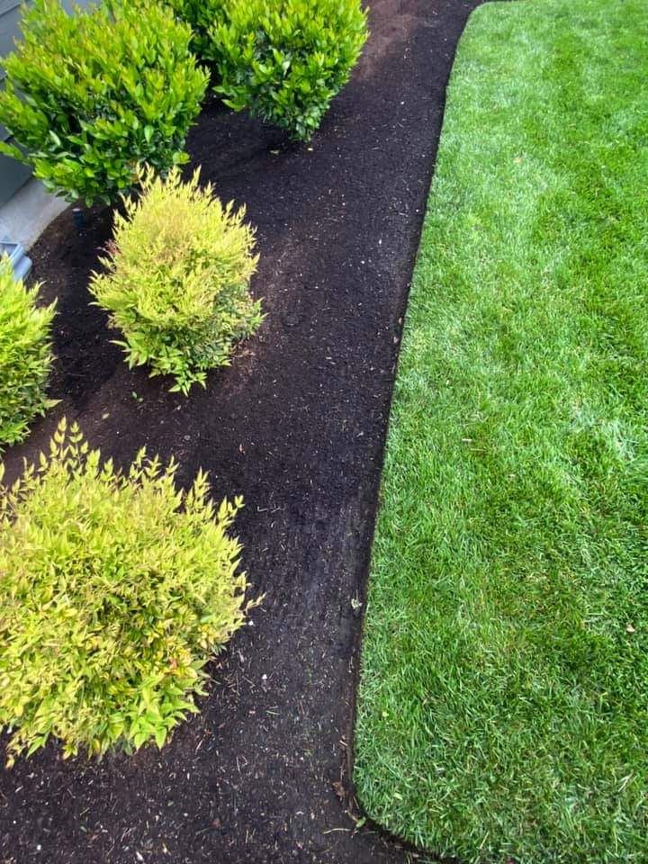 Fresh mulch beds with clean sculpted edges